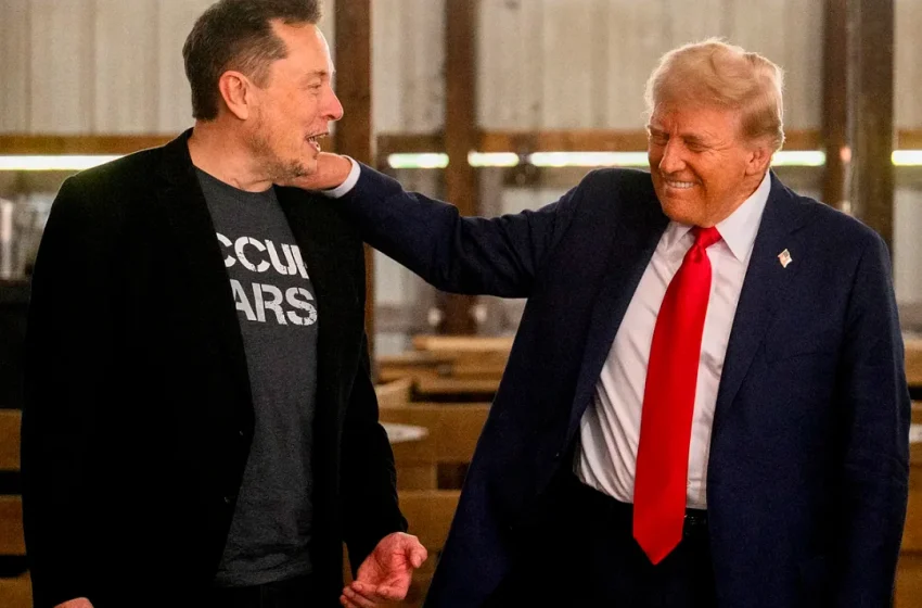  Donald Trump anunció que Elon Musk se sumará a su gabinete