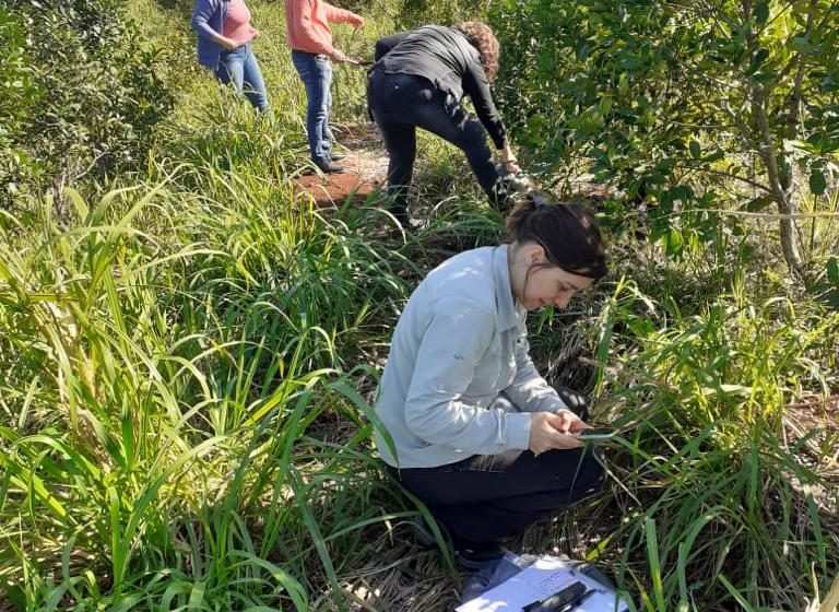  El último Happy Hour Científico Iguazú del año explorará el fascinante mundo de las micorrizas y su rol en la naturaleza