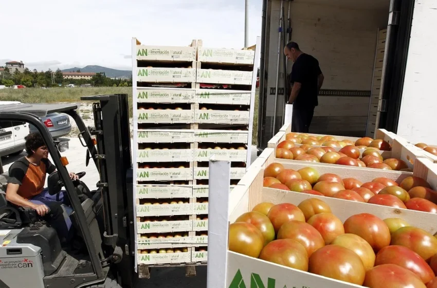  Flexibilizan la importación de alimentos para forzar la baja de precios