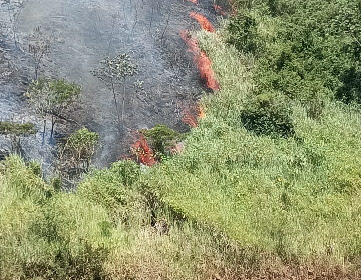  Bomberos de Iguazú trabajaron 4 horas para extinguir un incendio de pastizales en la costa del rio Paraná