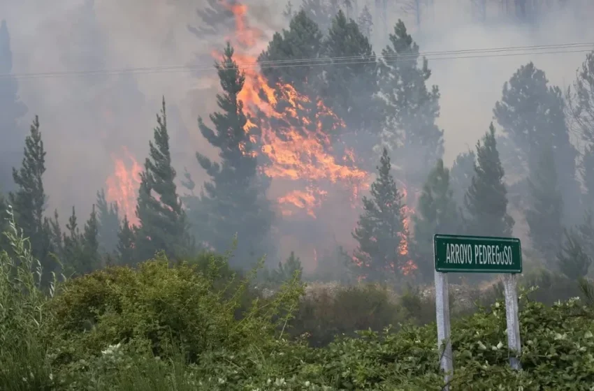  El incendio en Epuyén consumió 2.000 hectáreas y se evacuaron 200 viviendas