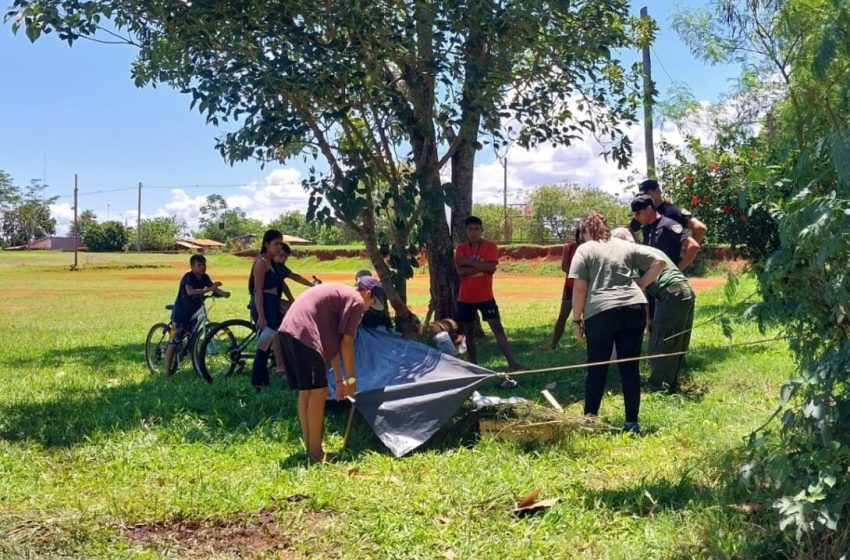  Rescataron a un caballo que se desplomó en la plaza de Santa Rosa