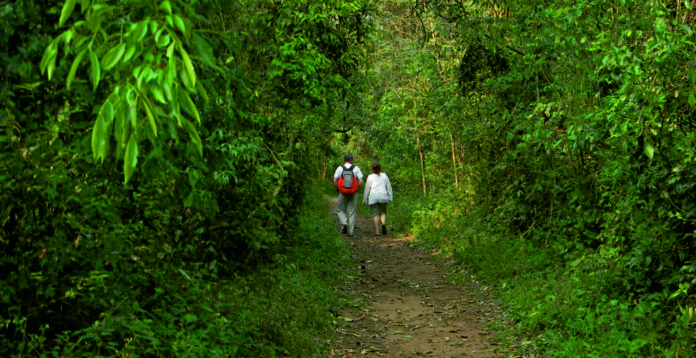 Desregulación en Parques Nacionales: Guías de turismo convocan a manifestación en Iguazú