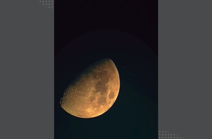  Una noche mágica en la selva misionera: «La Selva Late de Noche» invita a descubrir la fauna y el cielo guaraní