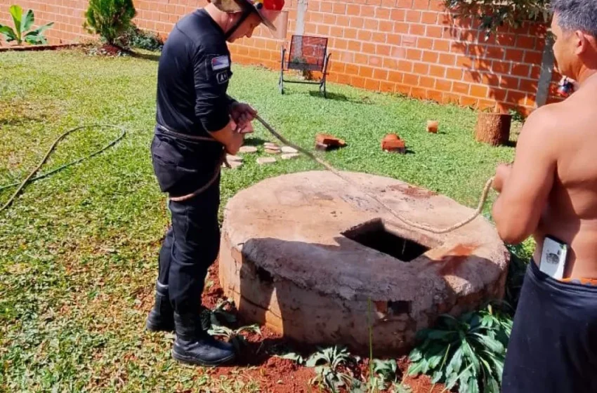Jardín América: bomberos rescataron a una niña que cayó a un pozo de 7 metros
