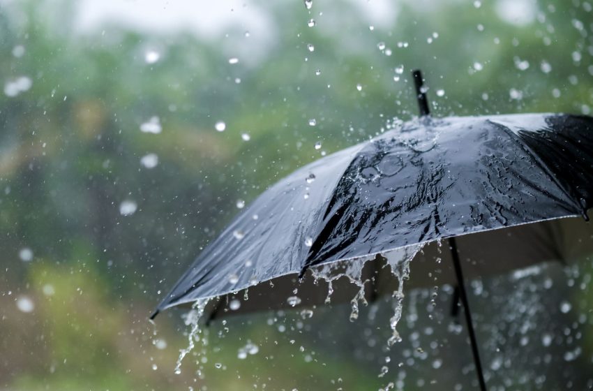 Cómo estará el clima esta semana en Misiones, nieblas, lluvias y calor
