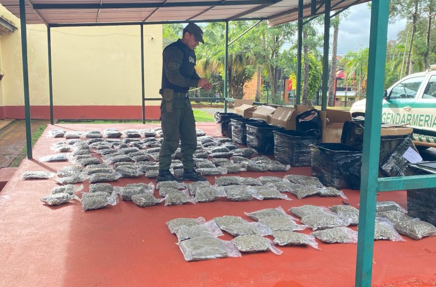  Gendarmería secuestró casi 100 kilos de marihuana ocultos en encomiendas
