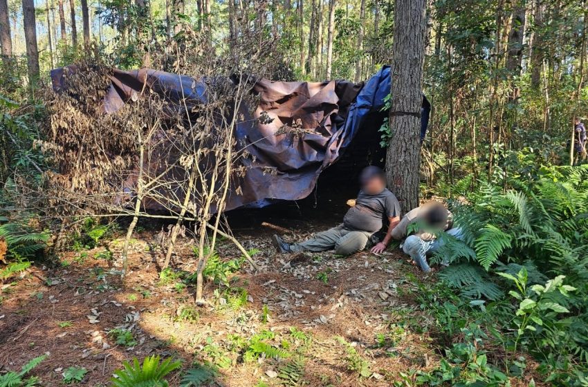  Montecarlo: desmantelan campamento narco y secuestran más de 2 toneladas de marihuana valuadas en casi $7.000 millones