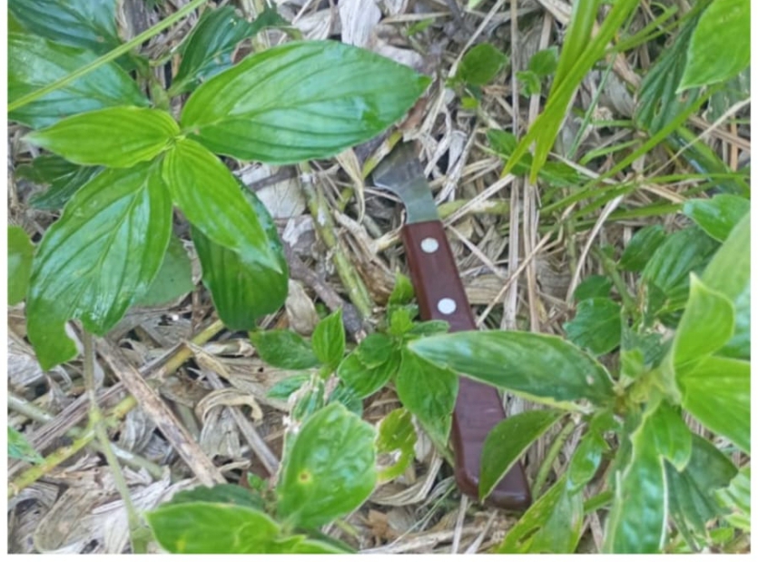 Puerto Iguazú: detuvieron a un hombre por el homicidio de una joven Mbya en la aldea Yriapú imagen-7