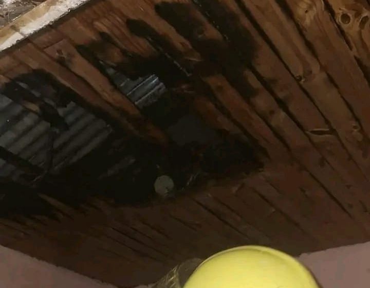  Principio de incendio en el barrio 1° de Mayo: no hubo heridos