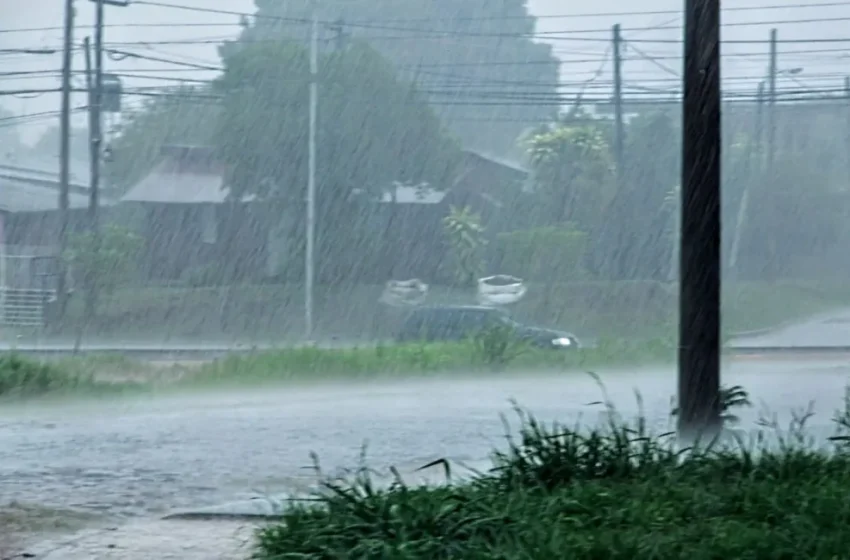  Viernes de tormentas intensas y vientos fuertes en Misiones: mejoraría hacia la tarde