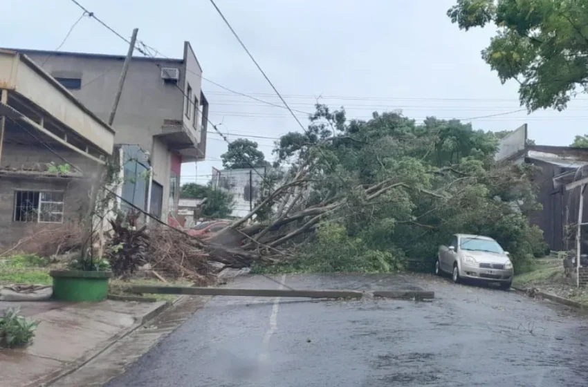  Temporal: confirman que los vientos en Posadas llegaron a los 116 km/h