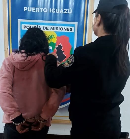 Una mujer fue detenida tras intentar robar en una vivienda de Villa Alta