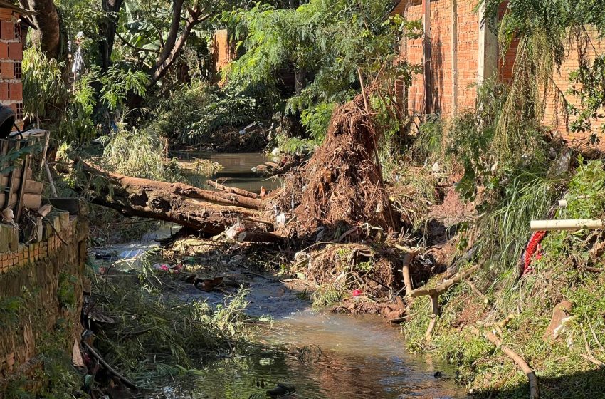 Vecinos de Villa Tacuara reclaman limpieza urgente del arroyo ante pronóstico de intensas lluvias 5 Vecinos de Villa Tacuara reclaman limpieza urgente del arroyo ante pronóstico de intensas lluvias
