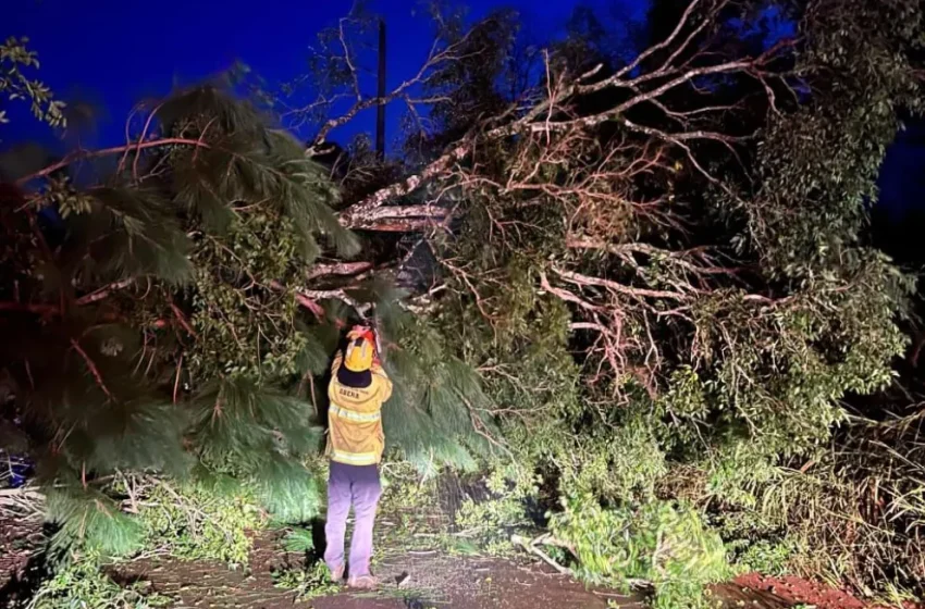  Cinco localidades misioneras se vieron afectadas por el temporal