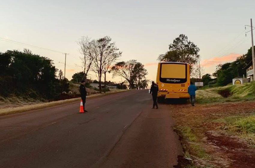  L. N. Alem: colectivo que transportaba tareferos embistió a una peatón