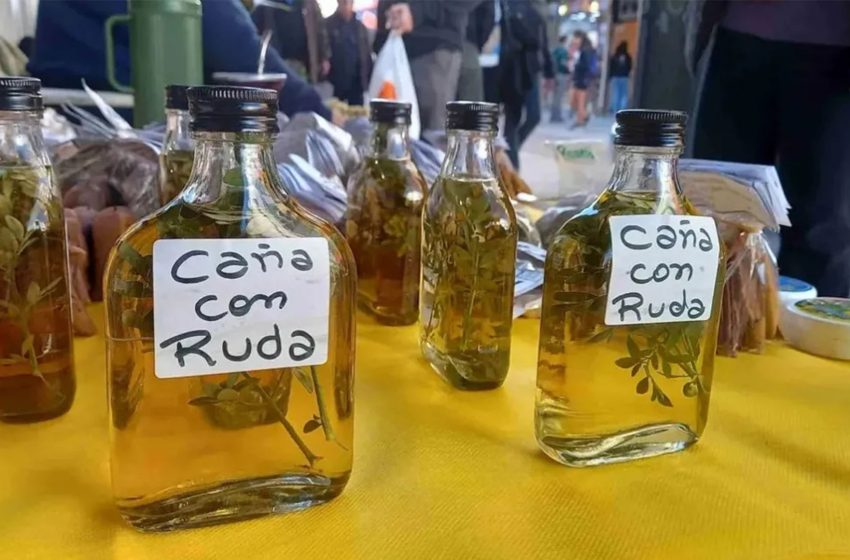  Caña con ruda : el ritual ancestral que atraviesa generaciones en América Latina