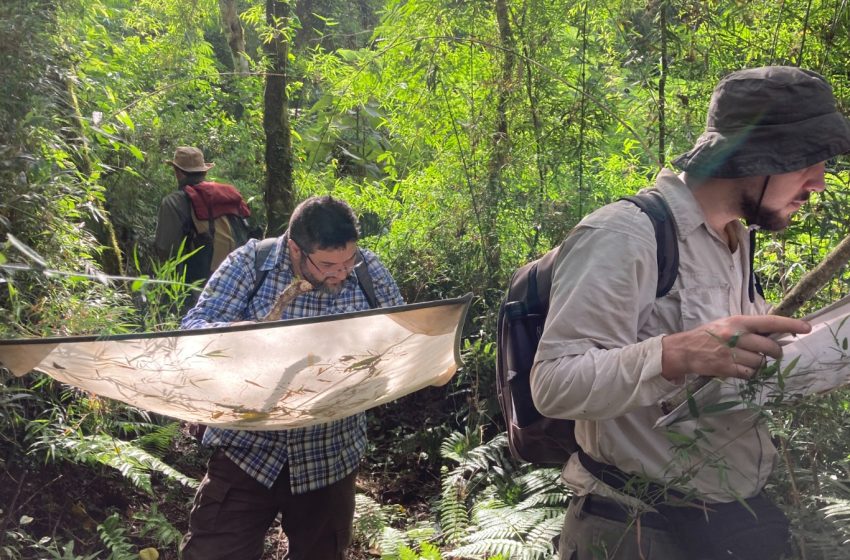  “Biodiversidad, territorio y bienestar”: nuevo encuentro del Happy Hour Científico Iguazú