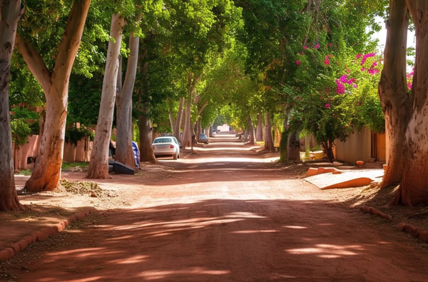 Previsión del tiempo en Misiones: semana soleada y temperaturas agradables