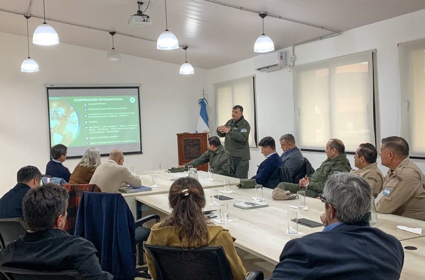  Visita clave de la Comisión Bicameral a Iguazú: Supervisión en frontera y reclamos por mejoras en el paso internacional