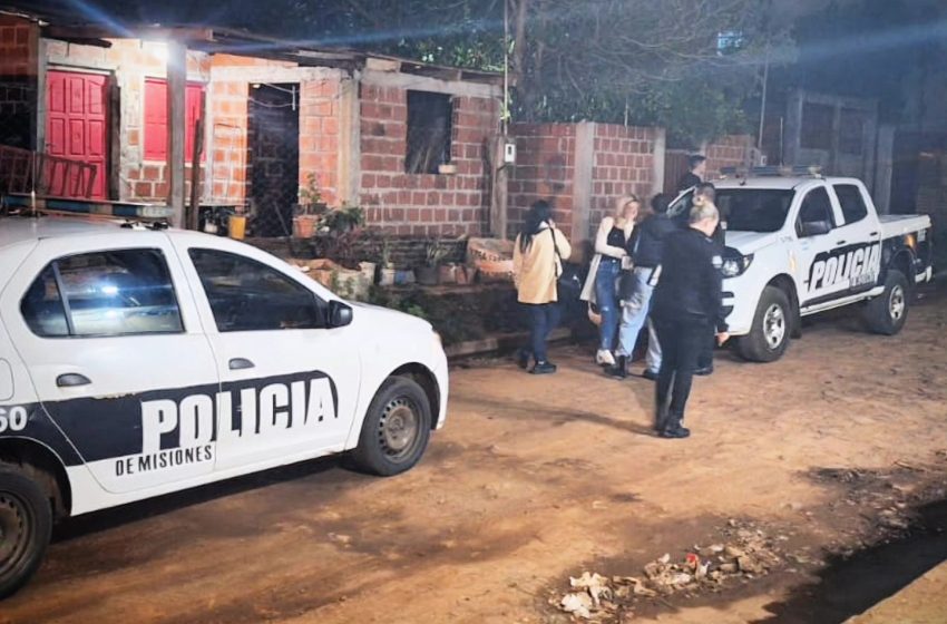  Tres menores quedaron bajo tutela tras intervención policial en Posadas