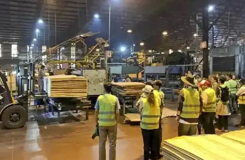  La crisis golpea a Corrientes: la forestadora Tapebicuá suspende su producción y deja 520 empleados sin trabajo