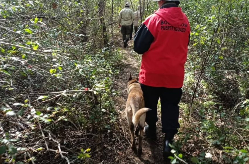  Bomberos Voluntarios de Puerto Iguazú se suman a la búsqueda de guía turístico desaparecido en Paraguay