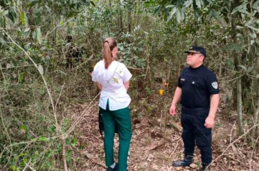  Sospechan que restos óseos hallados en Irigoyen podrían ser de un brasileño