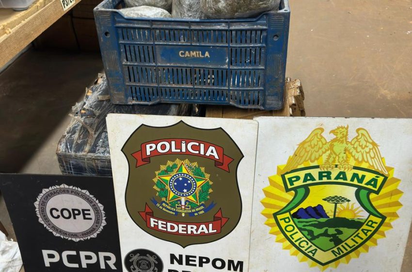 Autoridades brasileñas incautan casi 100 kilos de drogas en un puerto clandestino sobre el río Paraná