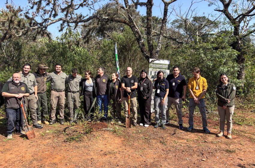  Iguazú Argentina participó de la presentación del plan de restauración del Parque Nacional Iguazú