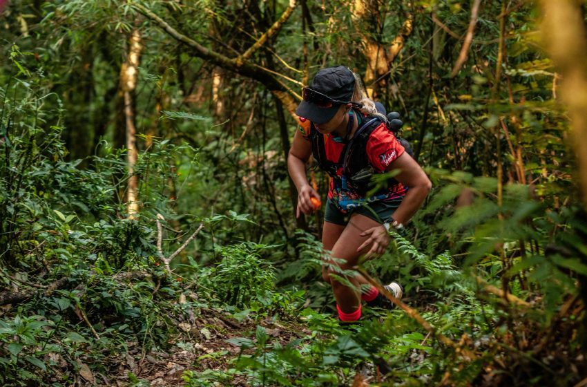  Yaboty Ultra Trail 2025: la carrera que une Misiones y Brasil y podría volver a la selva misionera