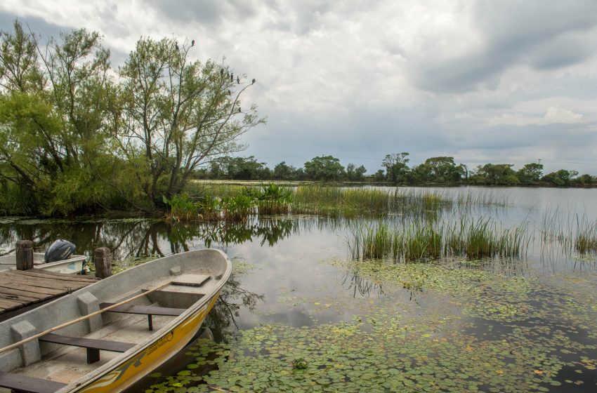  Colonia Carlos Pellegrini, entre los pueblos más lindos del mundo según la ONU