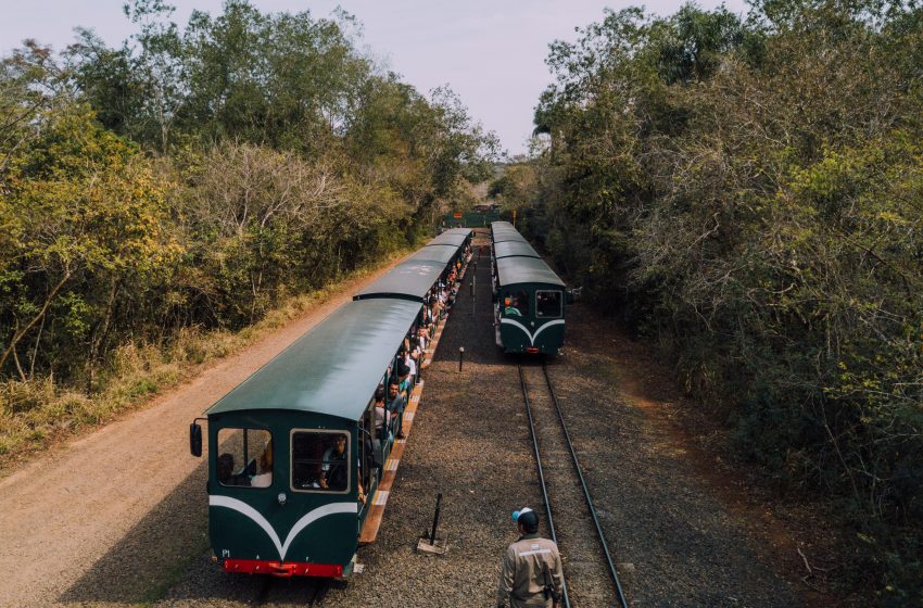  Tren Ecológico de la Selva: símbolo de sostenibilidad y compromiso social
