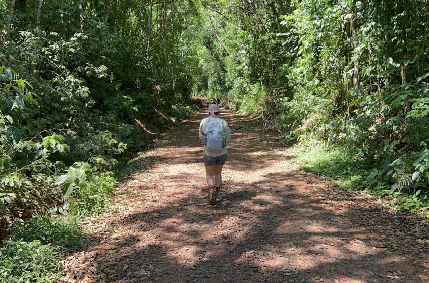 Puerto Iguazú dijo presente en una travesía de fe, naturaleza y resistencia