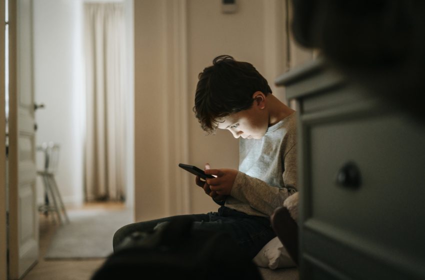  Capacitación en seguridad digital alerta sobre riesgos en videojuegos y fuga de datos en Iguazú