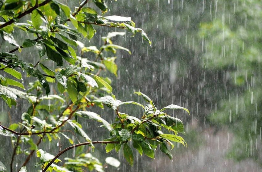  Pronóstico del tiempo en Misiones: descenso de temperaturas, lluvias y mejoras parciales