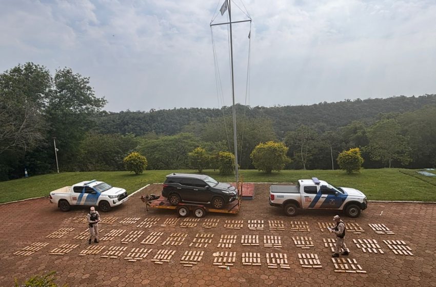  Prefectura incautó casi media tonelada de droga en Misiones