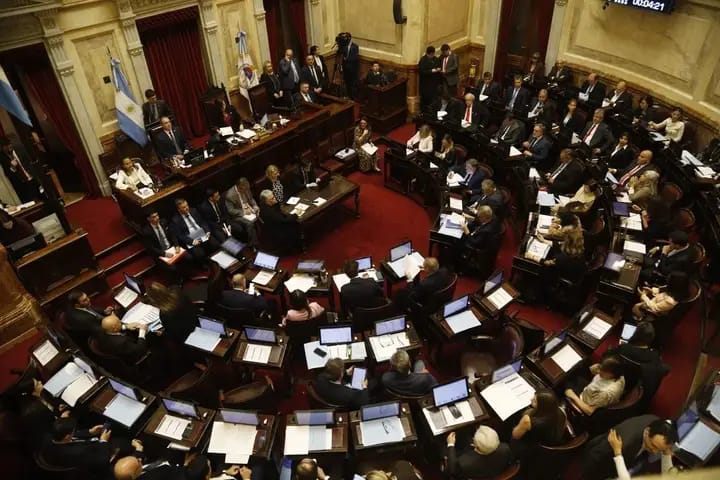El Senado sesionará este jueves para rechazar los vetos de Milei en Garrahan y universidades.