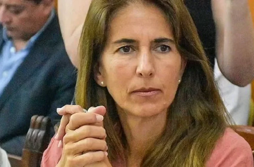 Imputaron a un hombre por insultar y escupir a una diputada en Salta