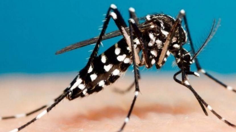 Comienza la campaña de vacunación contra el dengue en Puerto Iguazú