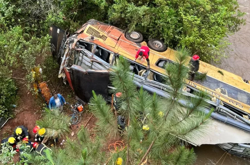 Un colectivo chocó sobre la Ruta Nacional 14 y cayó en un arroyo en Campo Viera: hay fallecidos y heridos