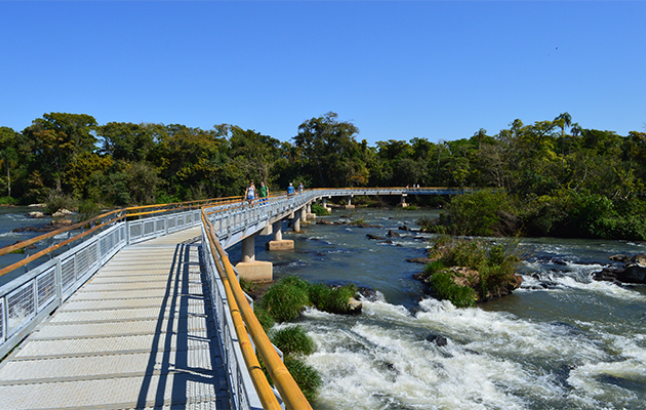 El Parque Nacional Iguazú celebra 91 años de su creación: un universo natural único y orgullo de los argentinos