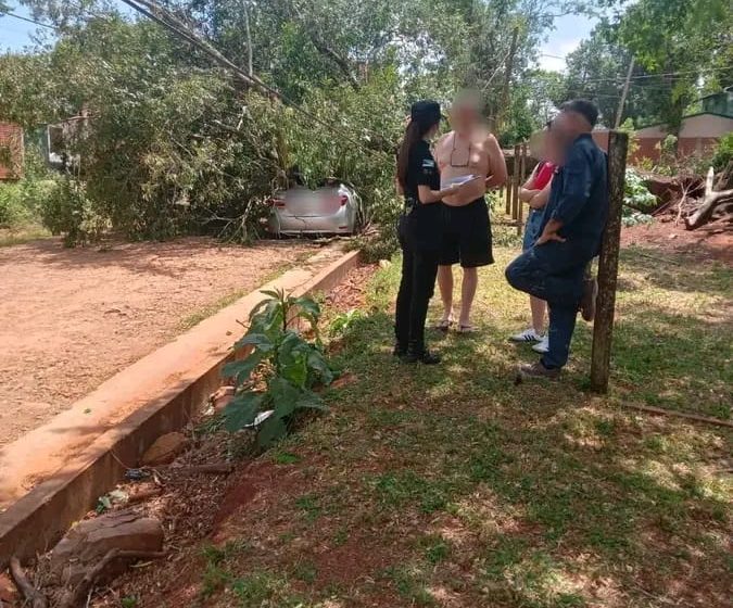 Puerto Iguazú: vientos provocaron la caída de un árbol sobre un vehículo estacionado