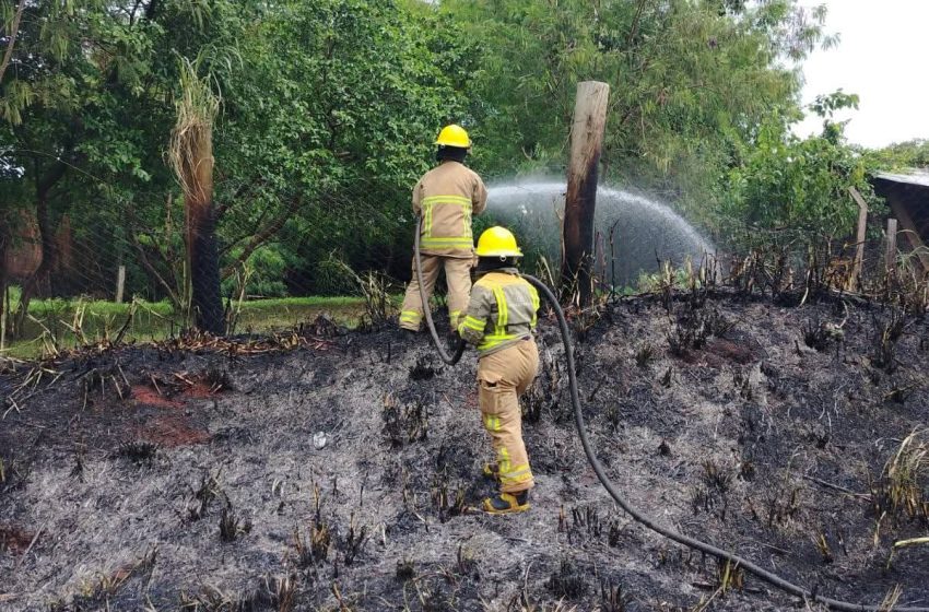  Chispas eléctricas e incendio de pastizal en Iguazú