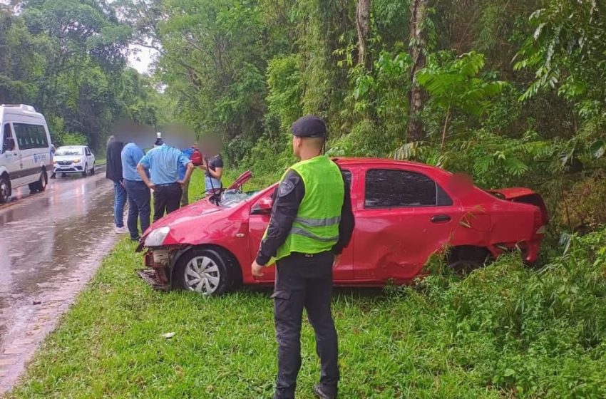 Iguazú: perdió el control del vehículo y terminó impactando contra un árbol en la Ruta Nacional 101