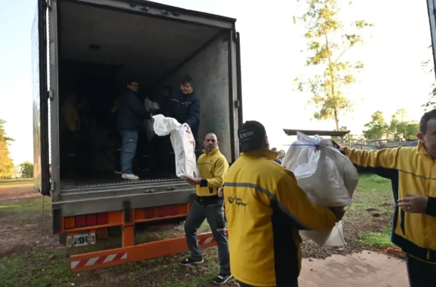  Comenzó el reparto de las urnas para las elecciones de este domingo