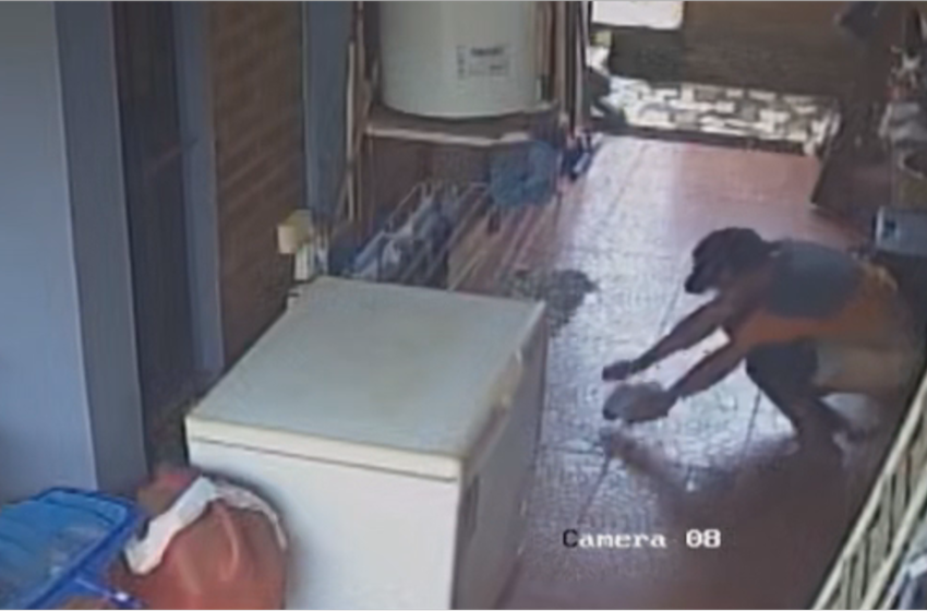  Vecina de Puerto Iguazú denunció un hecho de inseguridad: “En las cámaras se ve al hombre ingresar, revisar todo y llevarse algunas cosas”