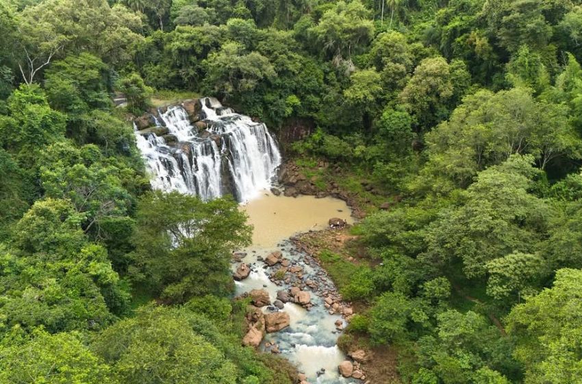  Parque Alto Iguazú: Un nuevo refugio para conservación del bosque atlántico en Misiones