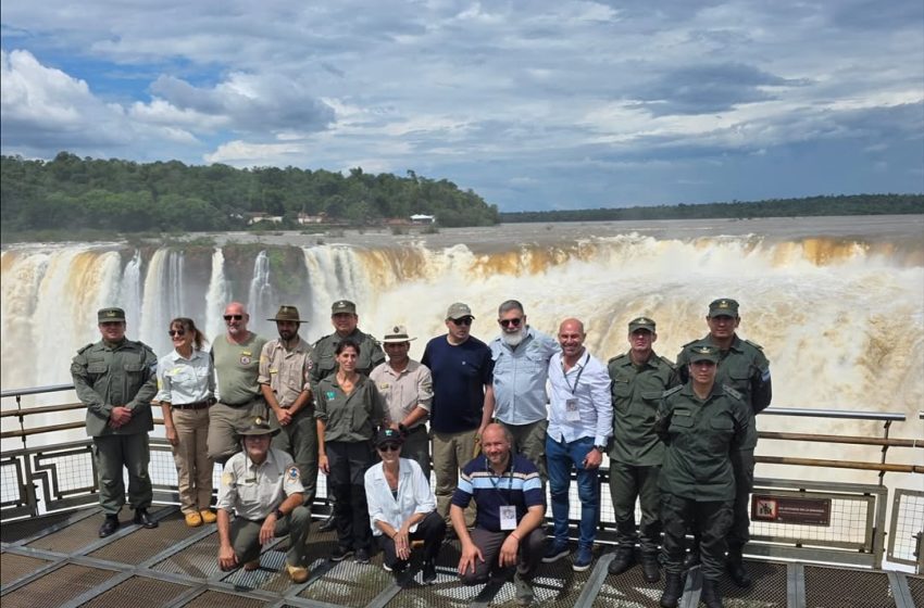  Argentina y Brasil fortalecen la cooperación contra la caza furtiva y el tráfico ilegal de fauna en Iguazú