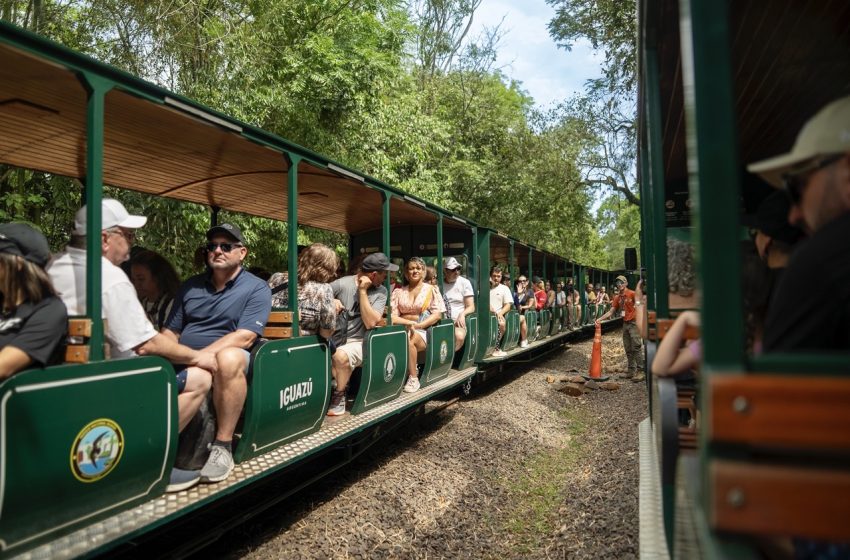  Moverse cuidando lo que amamos: el Tren Ecológico de la Selva celebra el Día del Transporte Sostenible